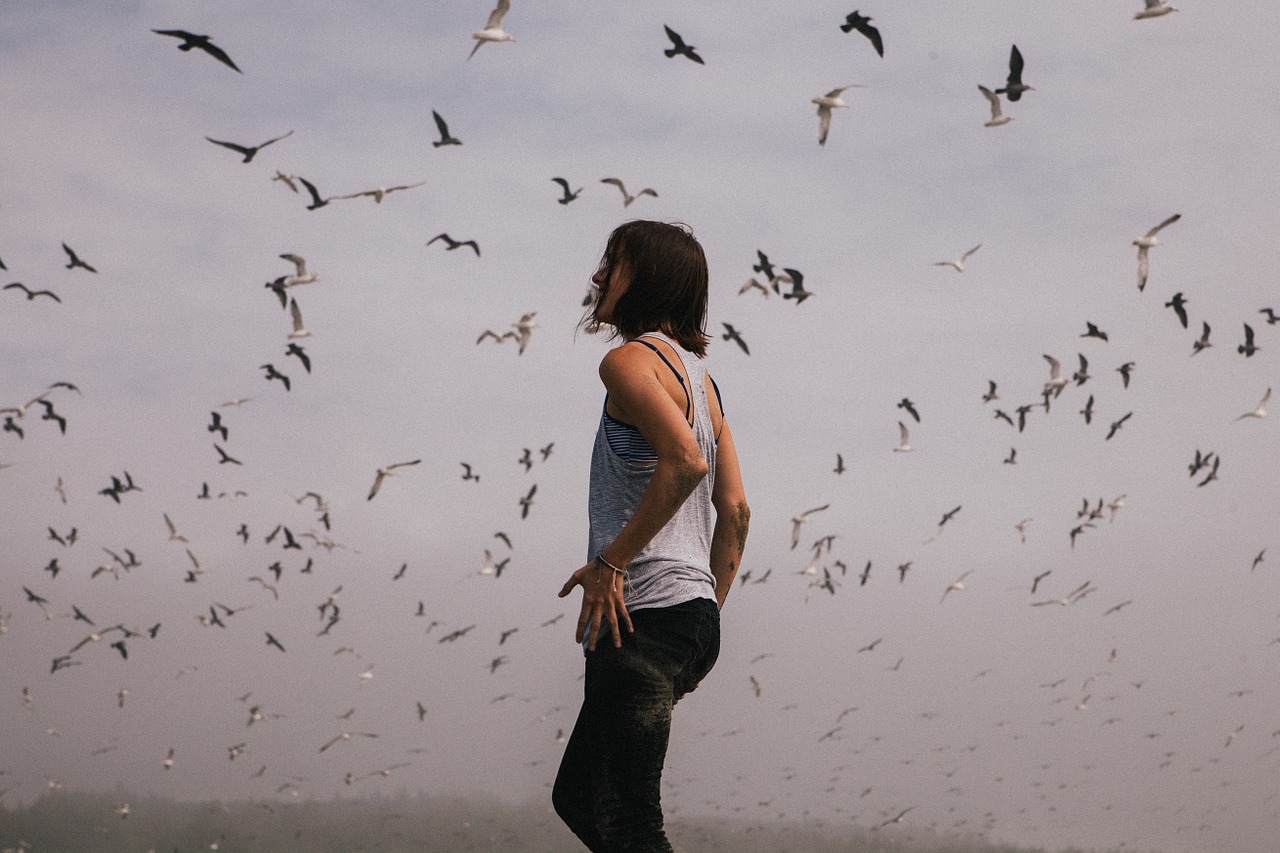 hipster, birds, flight